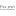 Favicon van haarwerkinstituut.nl