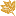 Favicon van hailcotton.com