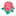 Favicon van hannieschafthaarlem.nl