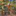 Favicon van hansversfelt.nl