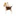 Favicon van happypets-happyyou.com