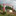 Favicon van hardloopreiskenia.com