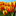 Favicon van harrystoursholland.com