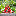 Favicon van hayoga.nl