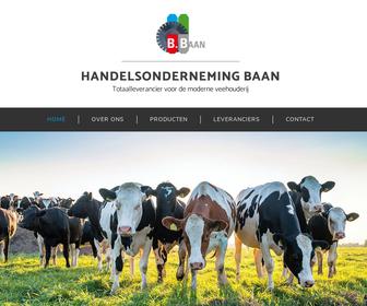 http://www.handelsondernemingbaan.nl