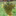 Favicon van heerhugowijn.nl