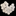 Favicon van herceramics.nl