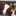 Favicon van herderagro.nl