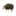 Favicon van hetgoudenschaap.nl