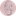 Favicon van heuvelrugverloskundigen.nl