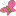 Favicon van holthuisje.nl