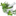 Favicon van homeopathie-amsterdam.com