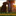 Favicon van hondentrainingcookie.nl