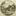 Favicon van honigbreethuis.nl