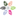 Favicon van hoogeveenplants.nl