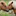 Favicon van hoogeweide.nl