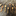 Favicon van houtenschaap.nl