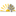 Favicon van houthandelpolak.nl