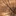 Favicon van houtvannu.nl