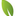 Favicon van hoveniersbedrijfhylkedijkstra.frl