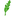 Favicon van hovenierwester.nl