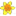 Favicon van hwijnhoutbulbs.com