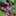 Favicon van idservices.nl