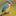 Favicon van ijsvogelwatersport.nl