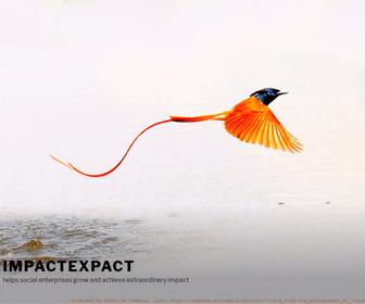 http://www.impactexpact.com