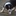 Favicon van ingridmeijer.nl