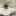 Favicon van inesvansandick.com