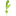 Favicon van ingeseettafel.nl