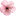 Favicon van inhetfruit.nl