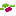 Favicon van intraplant.nl