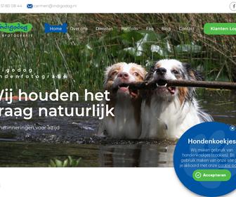 http://www.indigodog.nl
