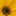 Favicon van ireneweijers.nl