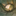 Favicon van irenezwaan.nl
