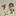Favicon van iriskolff.com