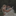 Favicon van iysfotografie.nl