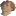 Favicon van jaapbinnema.nl