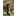 Favicon van jachthondensteadyness.nl