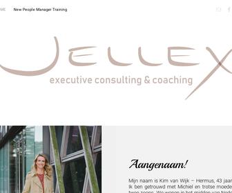 JELLEX - executive consulting & coaching