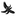 Favicon van jippiet.com