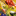 Favicon van joca.nl