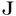 Favicon van jonesenjones.nl
