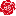 Favicon van jonkershoveniers.nl