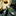Favicon van juwelierberk.nl