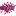 Favicon van keukenstunter.com