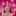 Favicon van kimlaanbroek.com