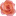 Favicon van kimsfashionstore.com